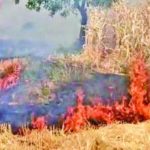 1001354764.jpg