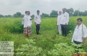 रोहणवाडी येथे अतिवृष्टीमुळे पिकांचे मोठे नुकसान नुकसानग्रस्त शेतकऱ्यांना तात्काळ मदत द्या : ज्ञानेश्वर उगले यांची मागणी