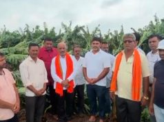 शिंदखेडा तालुक्यातील लोहगाव-वसमाणे परिसरात केळी, पपई पिकांचे मोठे नुकसान…