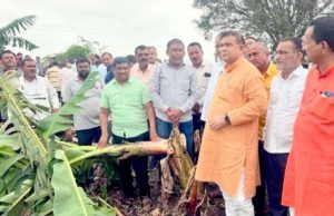 पावसामुळे नुकसान झालेल्या पिकांची पालकमंत्री जयकुमार रावल यांच्या कडून पाहणी….