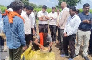 जिल्हाधिकारी राहुल कर्डीले यांनी केली खडकूत येथे पीक कापणी प्रयोगाची पाहणी.